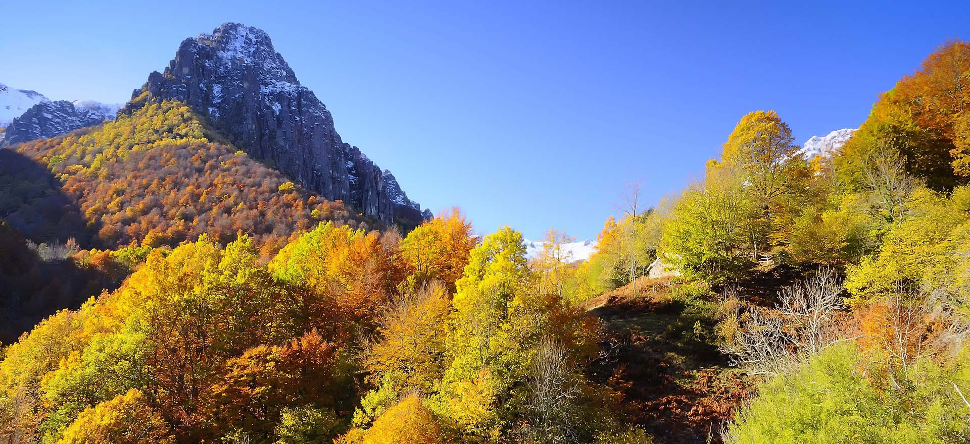 Andamios Asturias - naturaleza